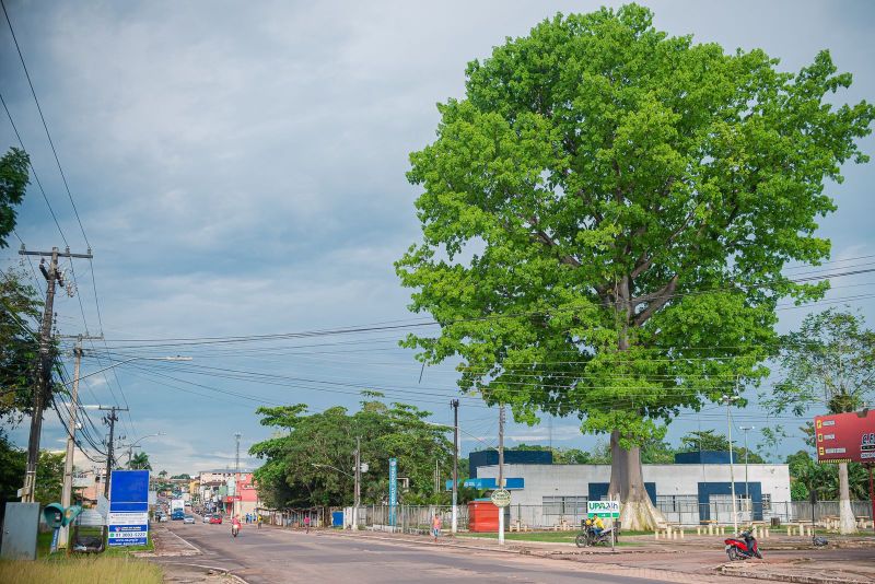  <div class='credito_fotos'>Foto: Heloam Sousa &nbsp;&nbsp;|&nbsp;&nbsp; <a href='/midias/2022/originais/7440_bbe4126d-44fa-6da8-8334-315ccdb6ea06.jpg' download><i class='fa-solid fa-download'></i> Download</a></div>