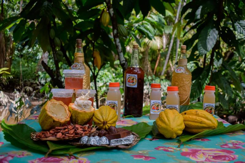 Crédito: Karla Reis